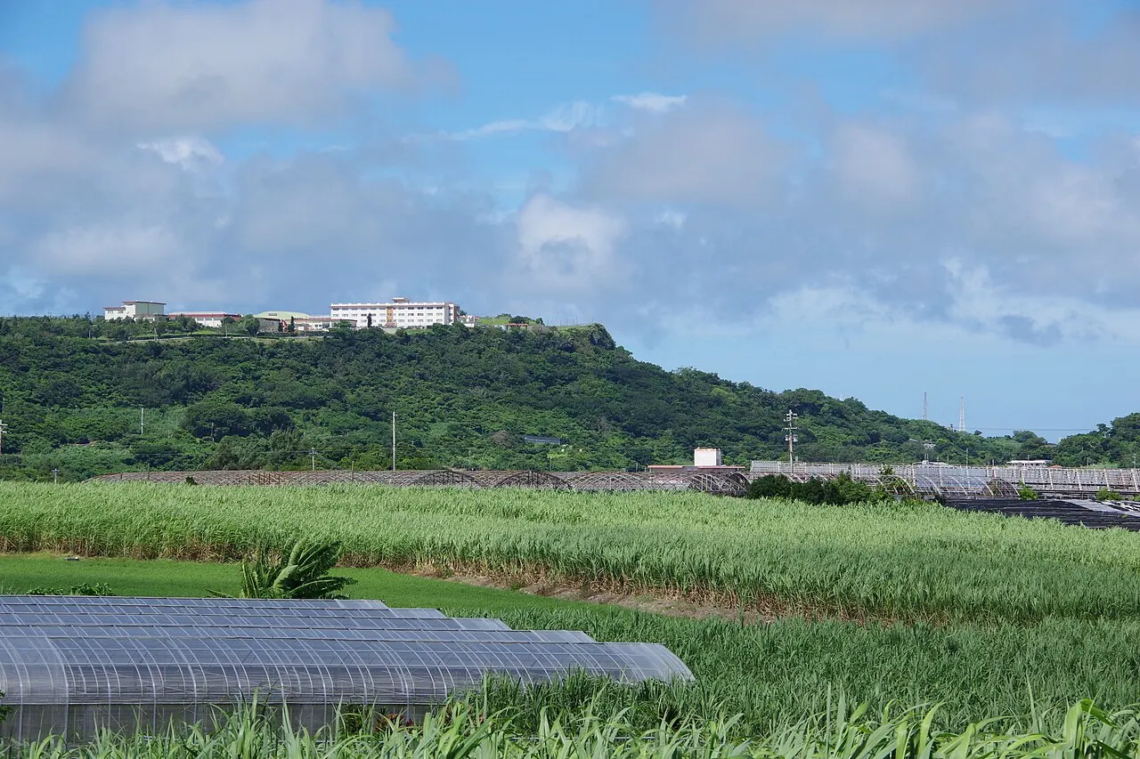 八重瀬岳