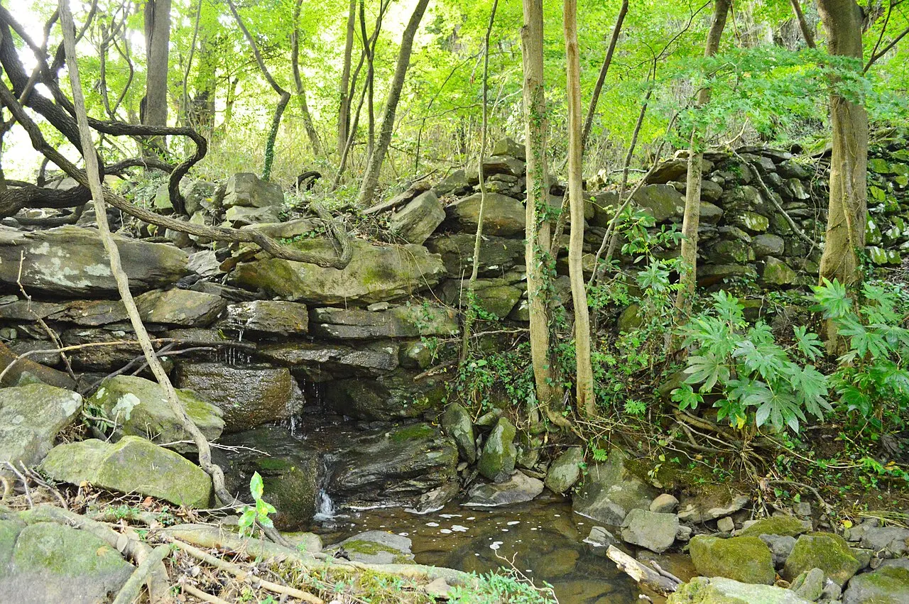 城山城