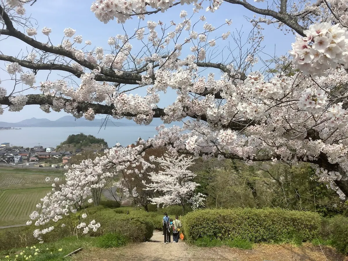 荒島古墳群