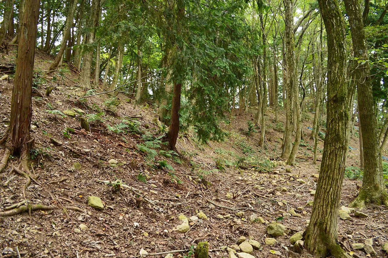 荒神山古墳