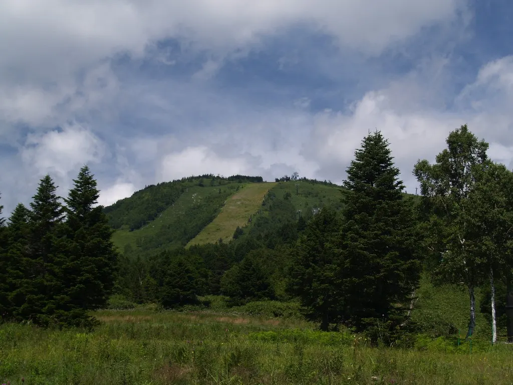焼額山