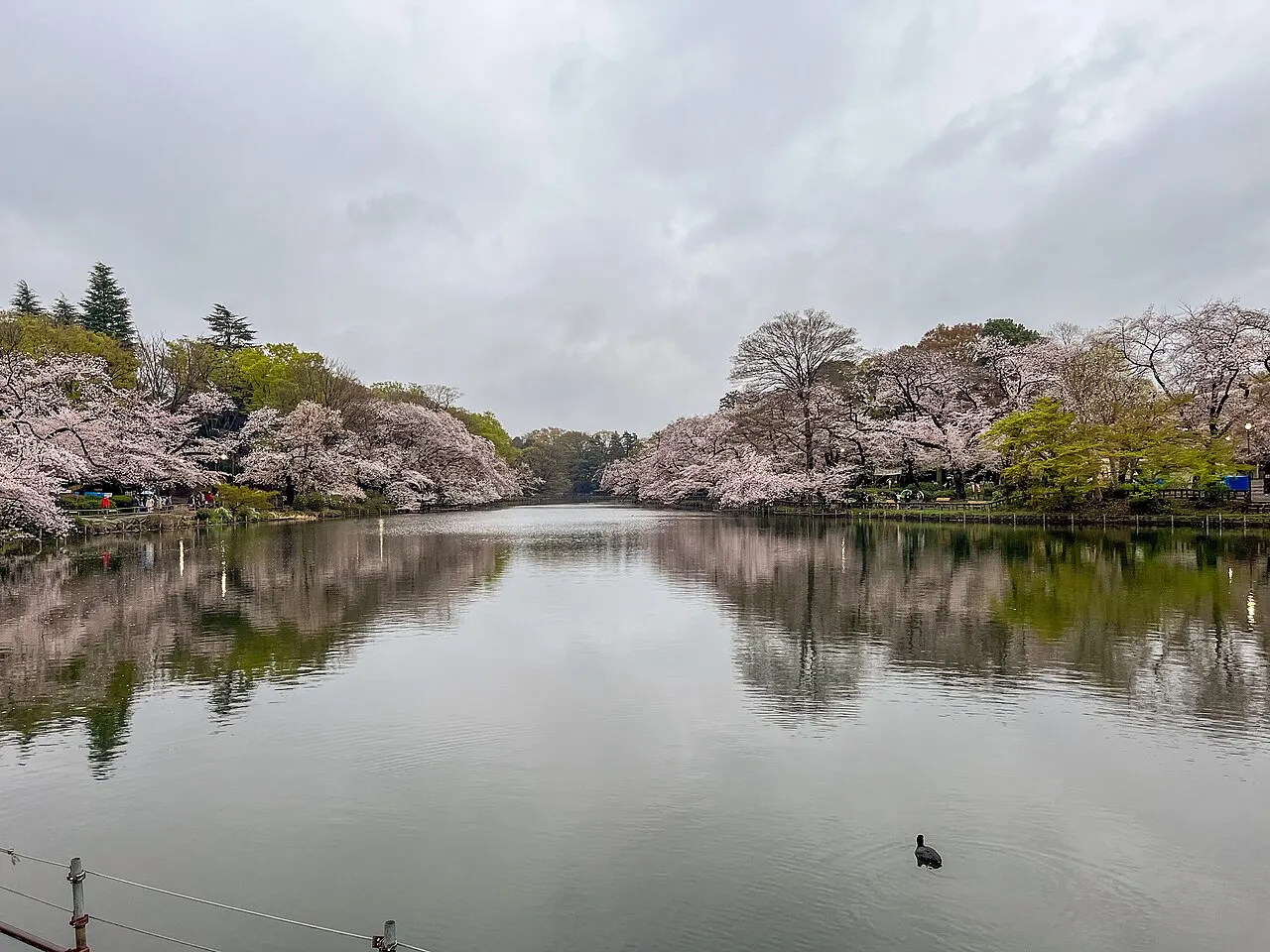 井の頭恩賜公園