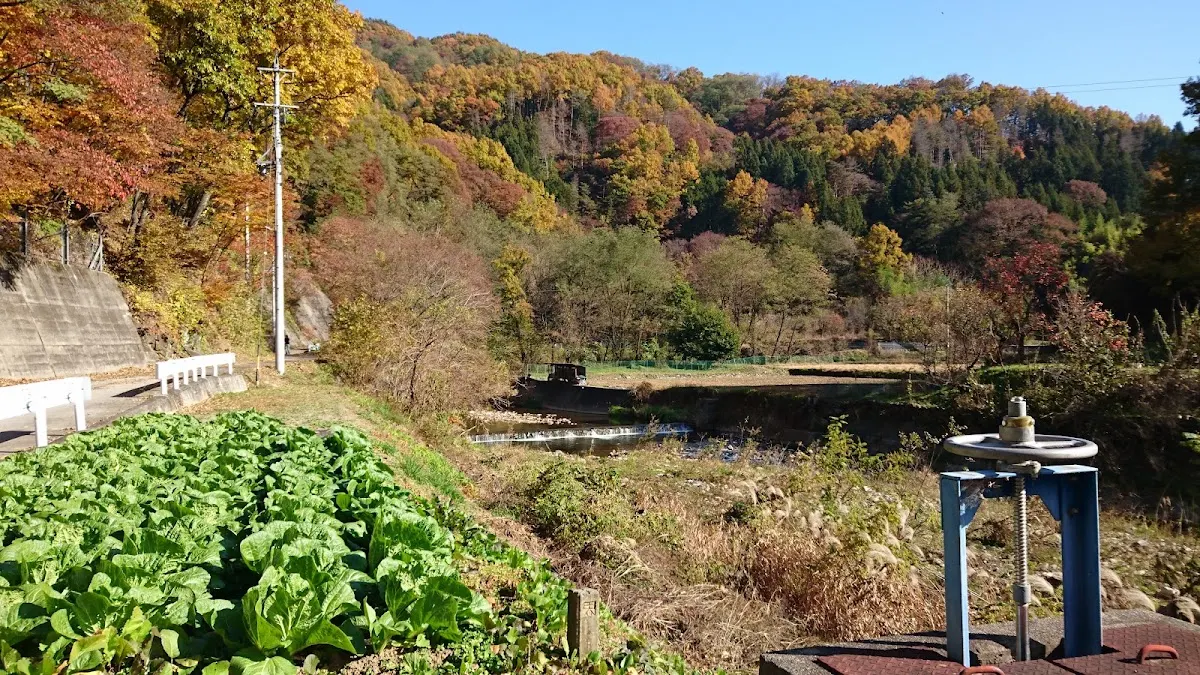 城山公園