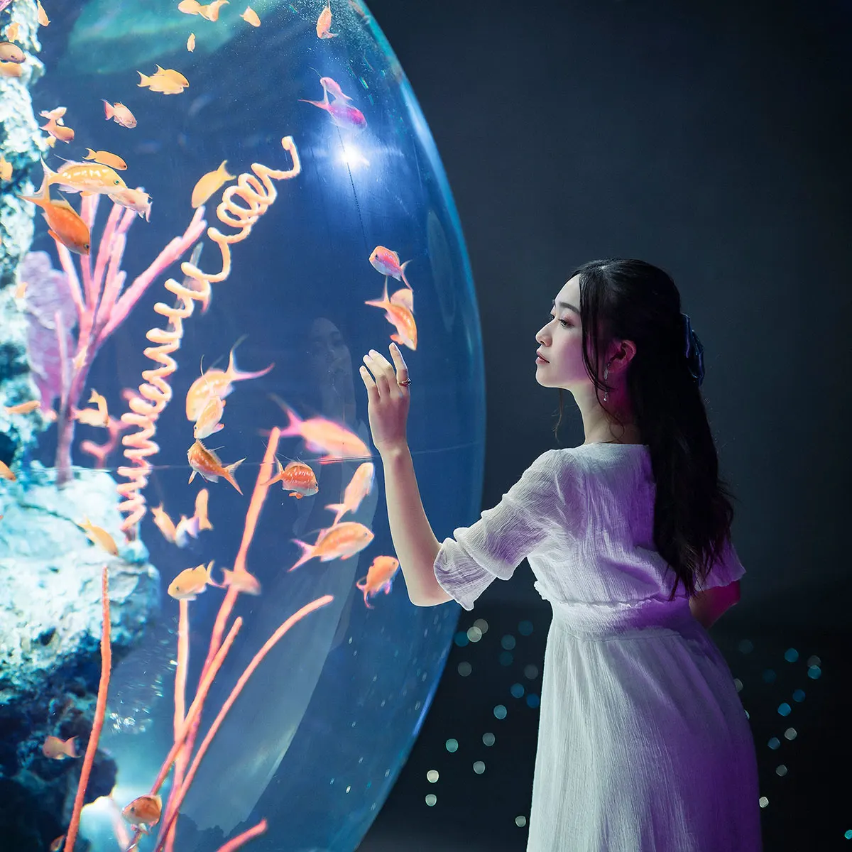 兵庫で真珠取り出し体験!話題の水族館を巡る日帰りモデルコース