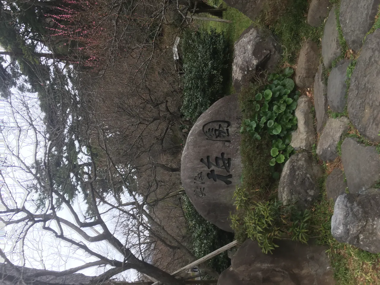 熱海梅園