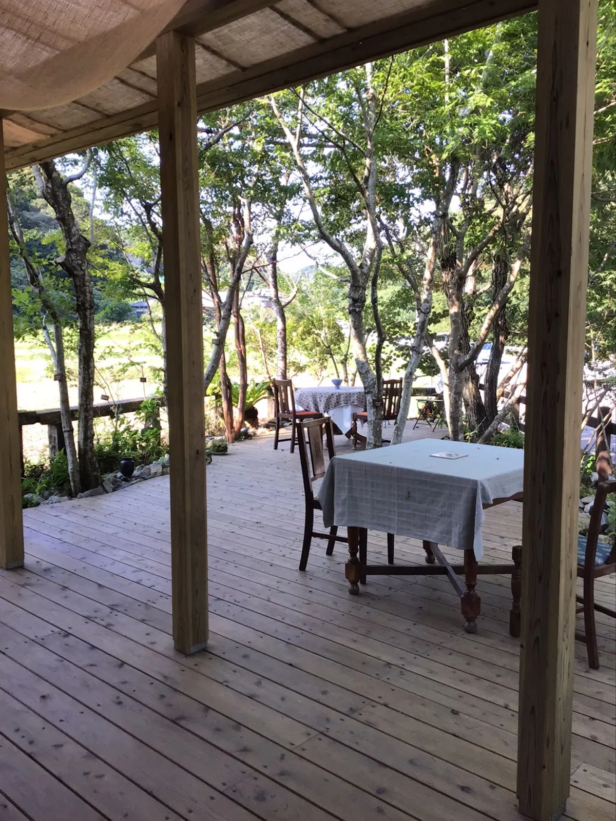 m cafe エムカフェ