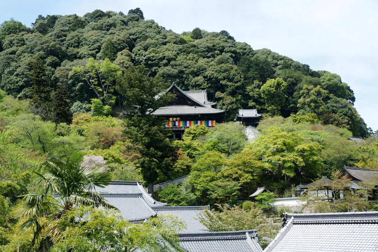 奈良・花の御寺で秋の風情を感じる巡礼さんぽモデルコース【1泊2日】