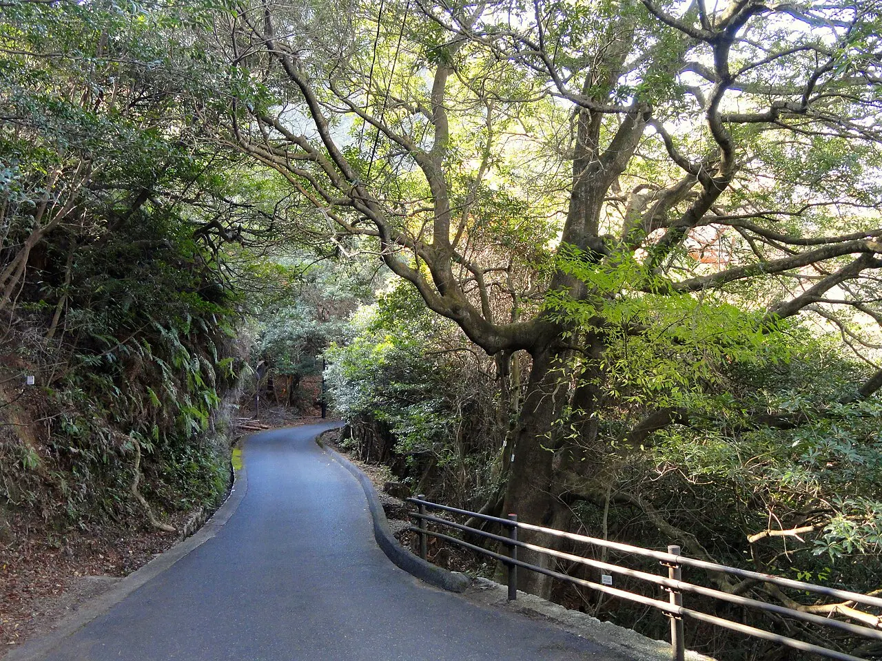 広島大学大学院統合生命科学研究科附属宮島自然植物実験所