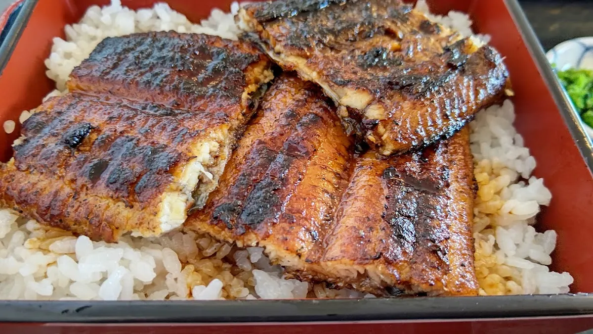 うなぎ料理 大はかや