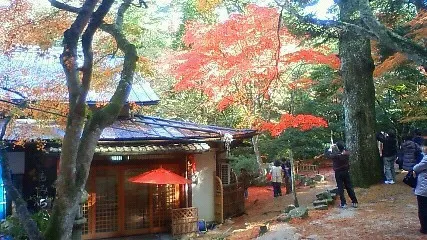 紅葉谷公園