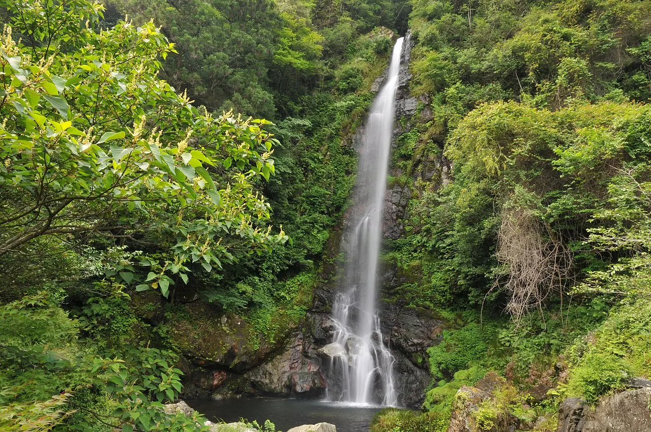 大樽の滝