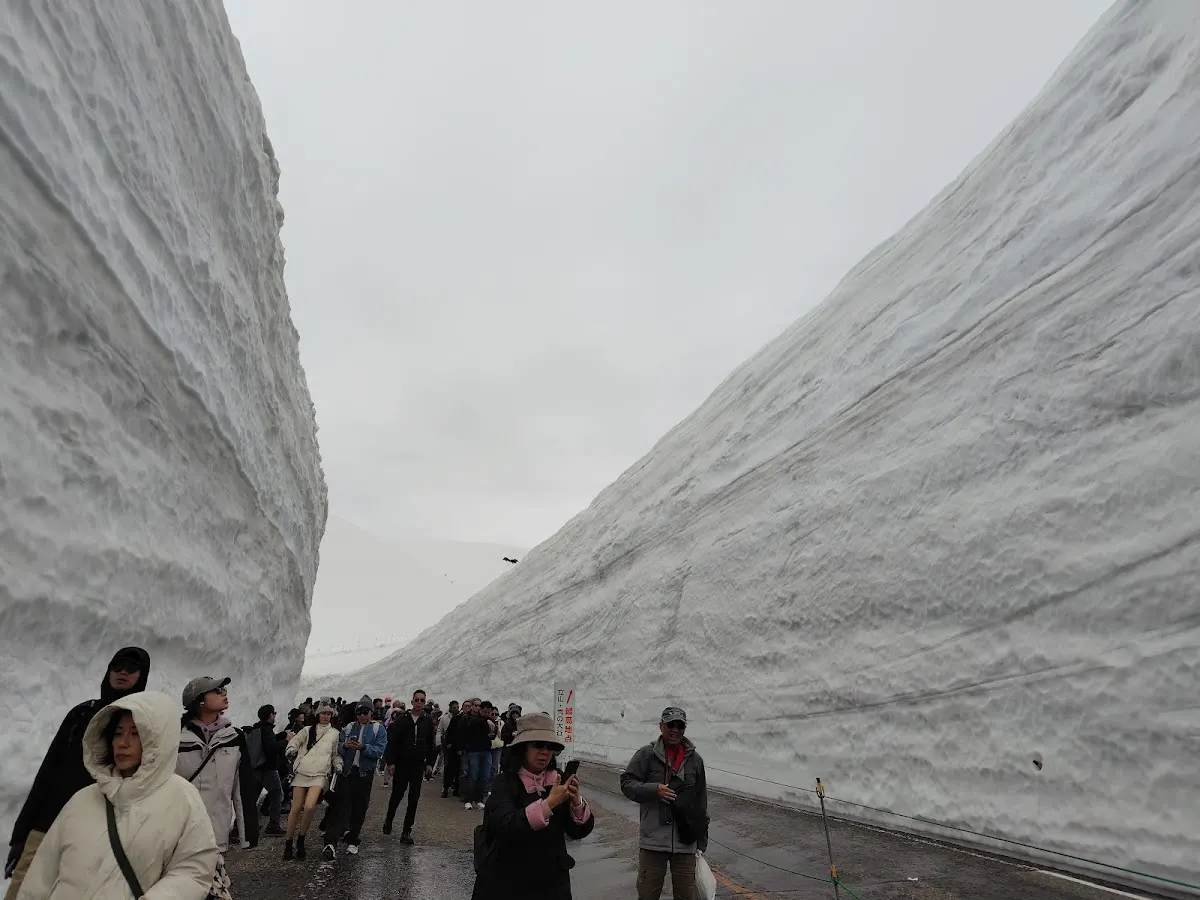 雪の大谷