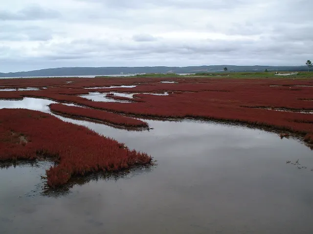 ベベツ岳から能取湖へ、秋の景色を巡る旅