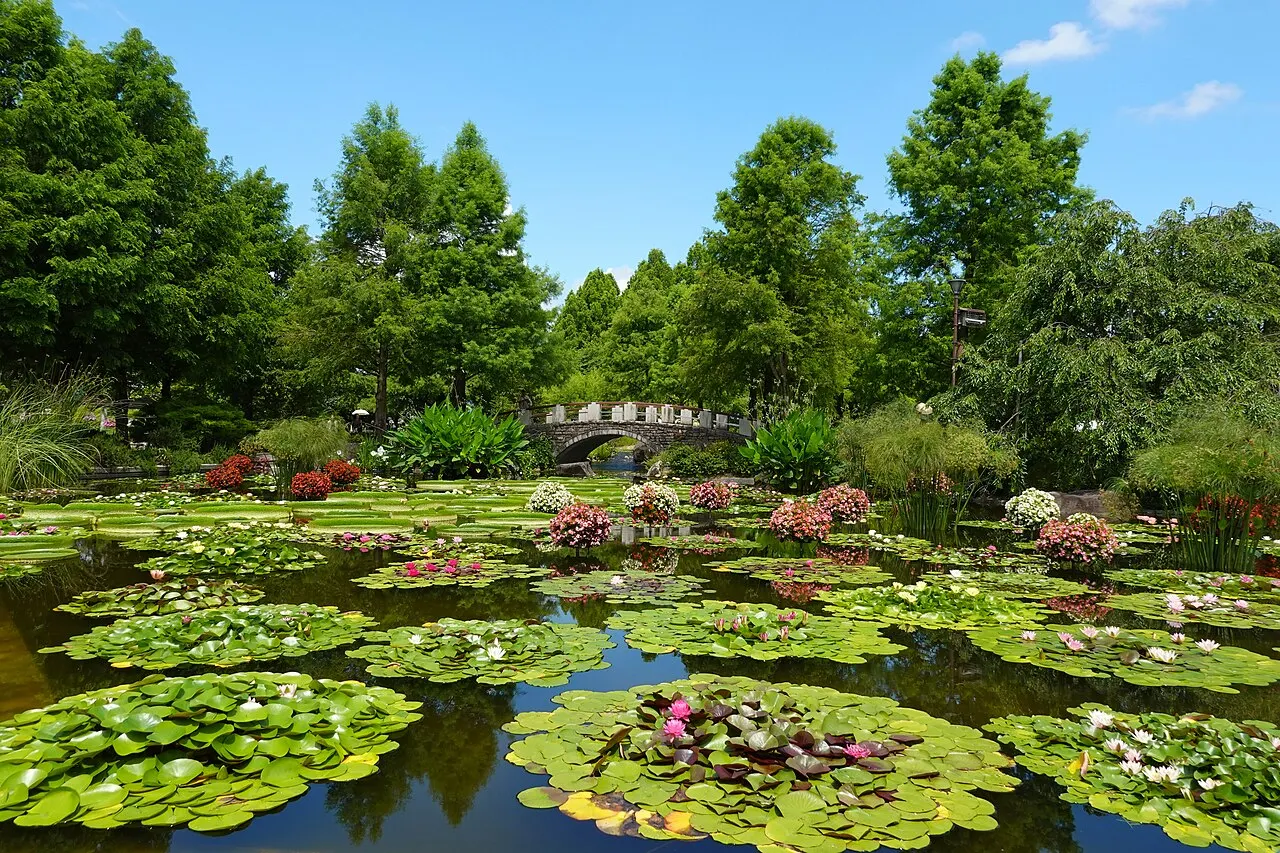 草津市立水生植物公園みずの森