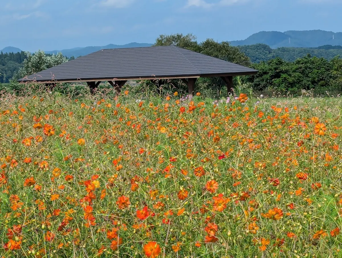 岩手県御所湖広域公園 町場地区園地