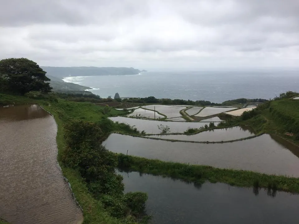 東後畑棚田