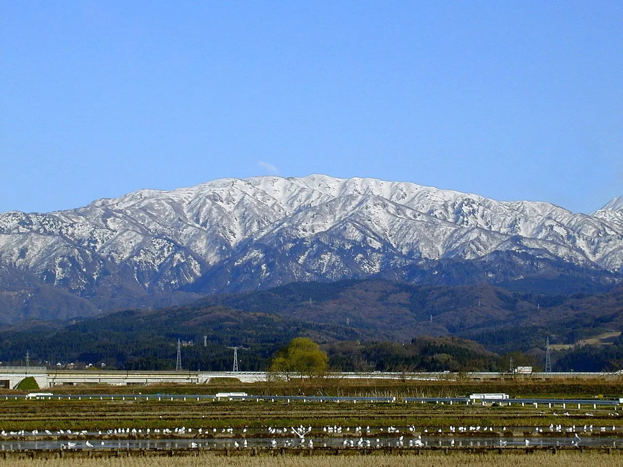 僧ヶ岳