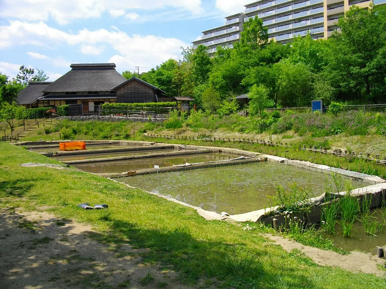 赤羽自然観察公園