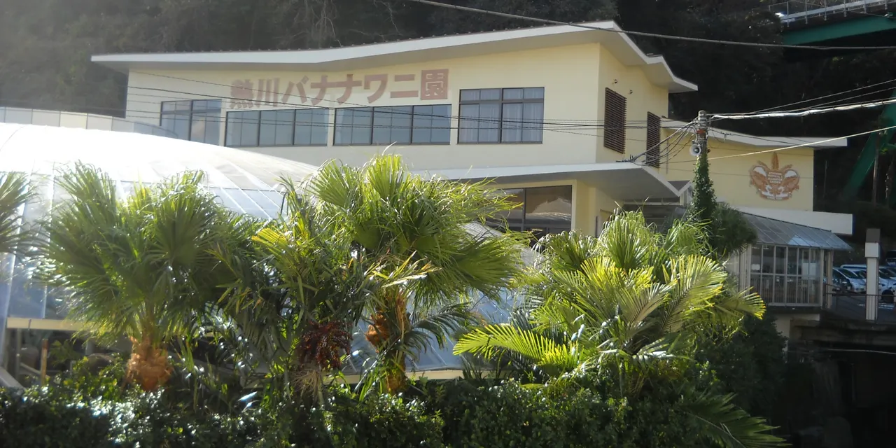 熱川バナナワニ園
