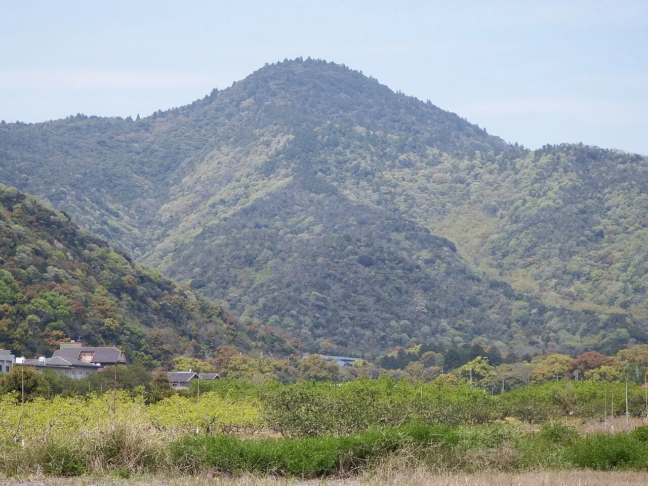 大麻山