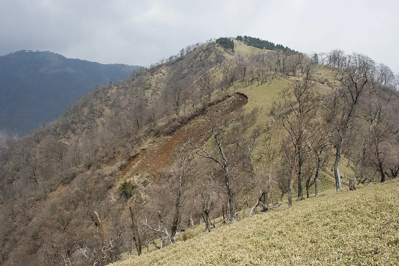 竜ヶ馬場