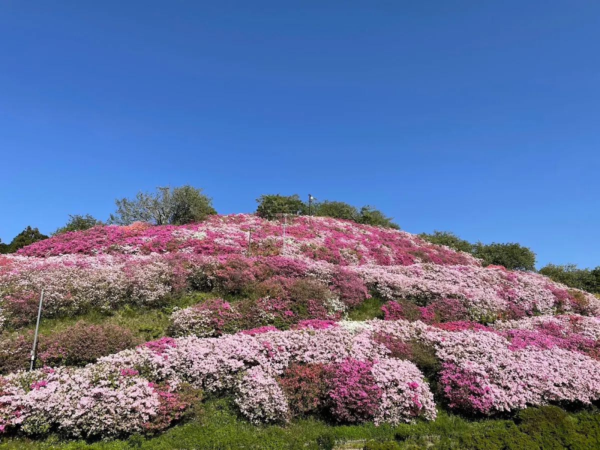 冨士山公園