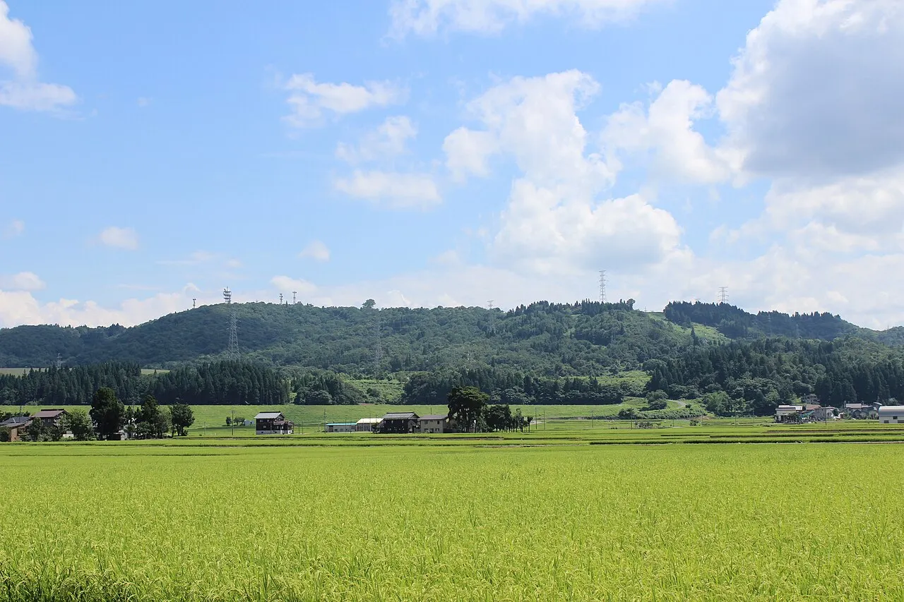 山本山 (小千谷市)