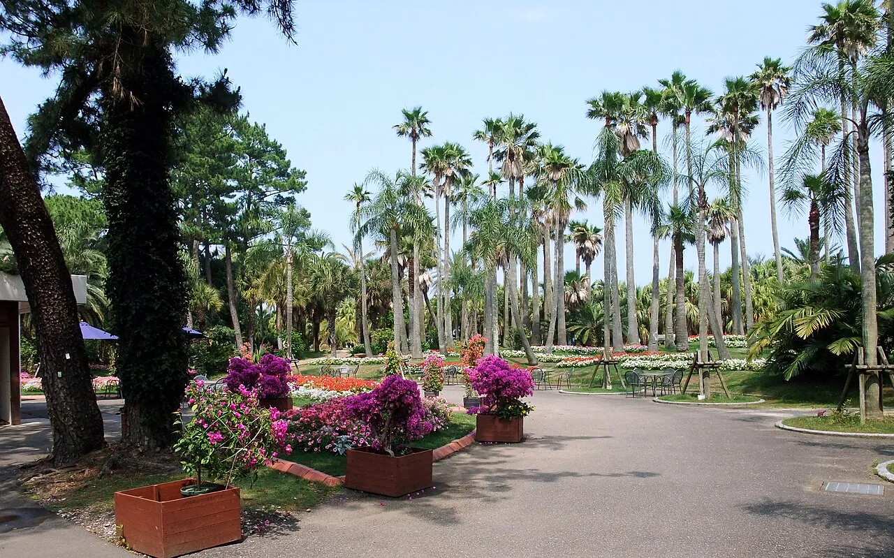 青島亜熱帯植物園