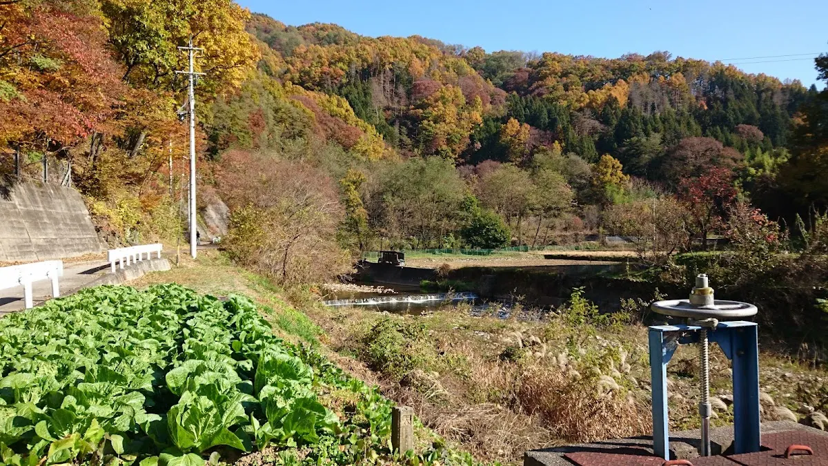 城山公園