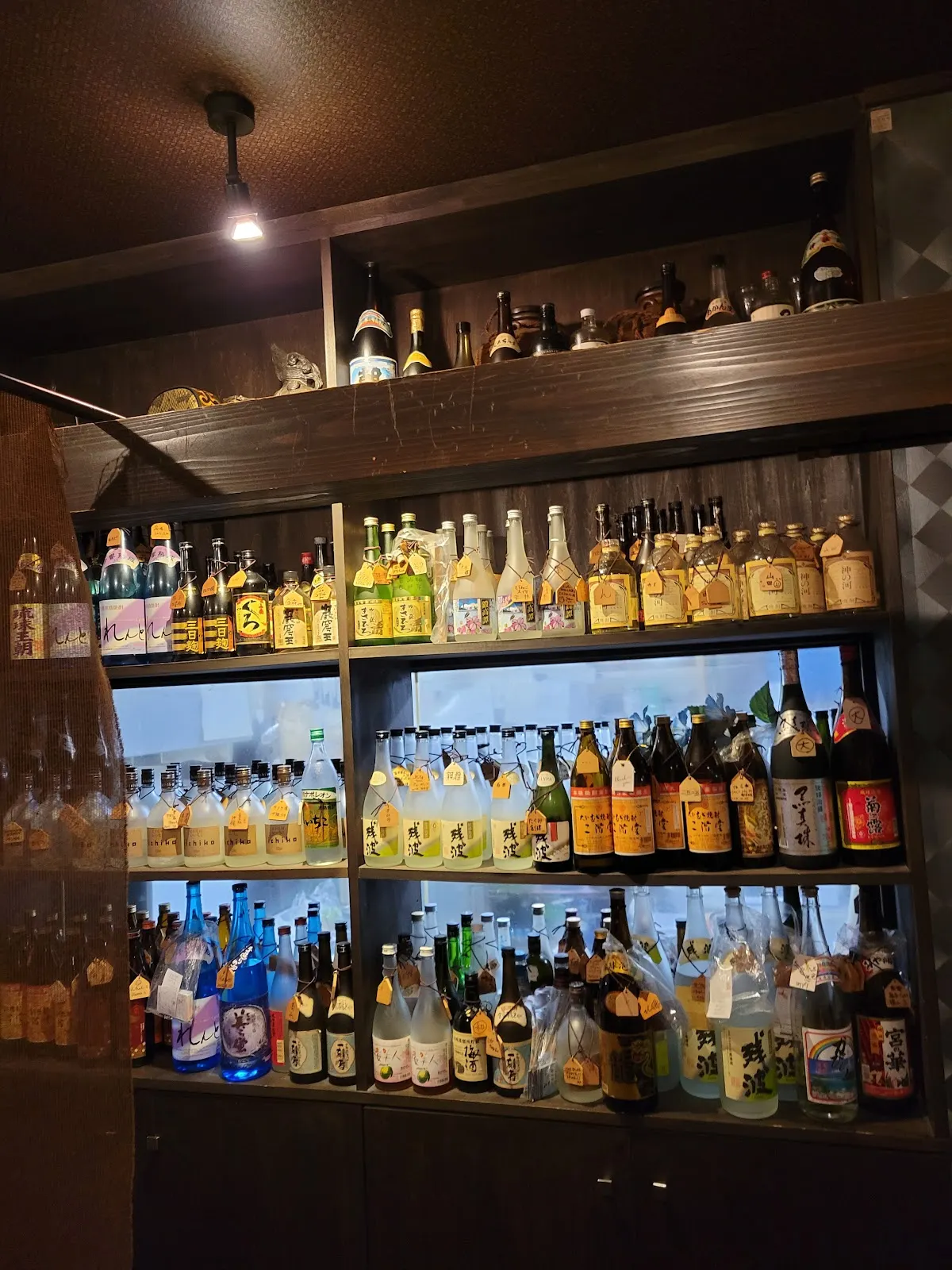琉泡楽園 美ら 敦賀店