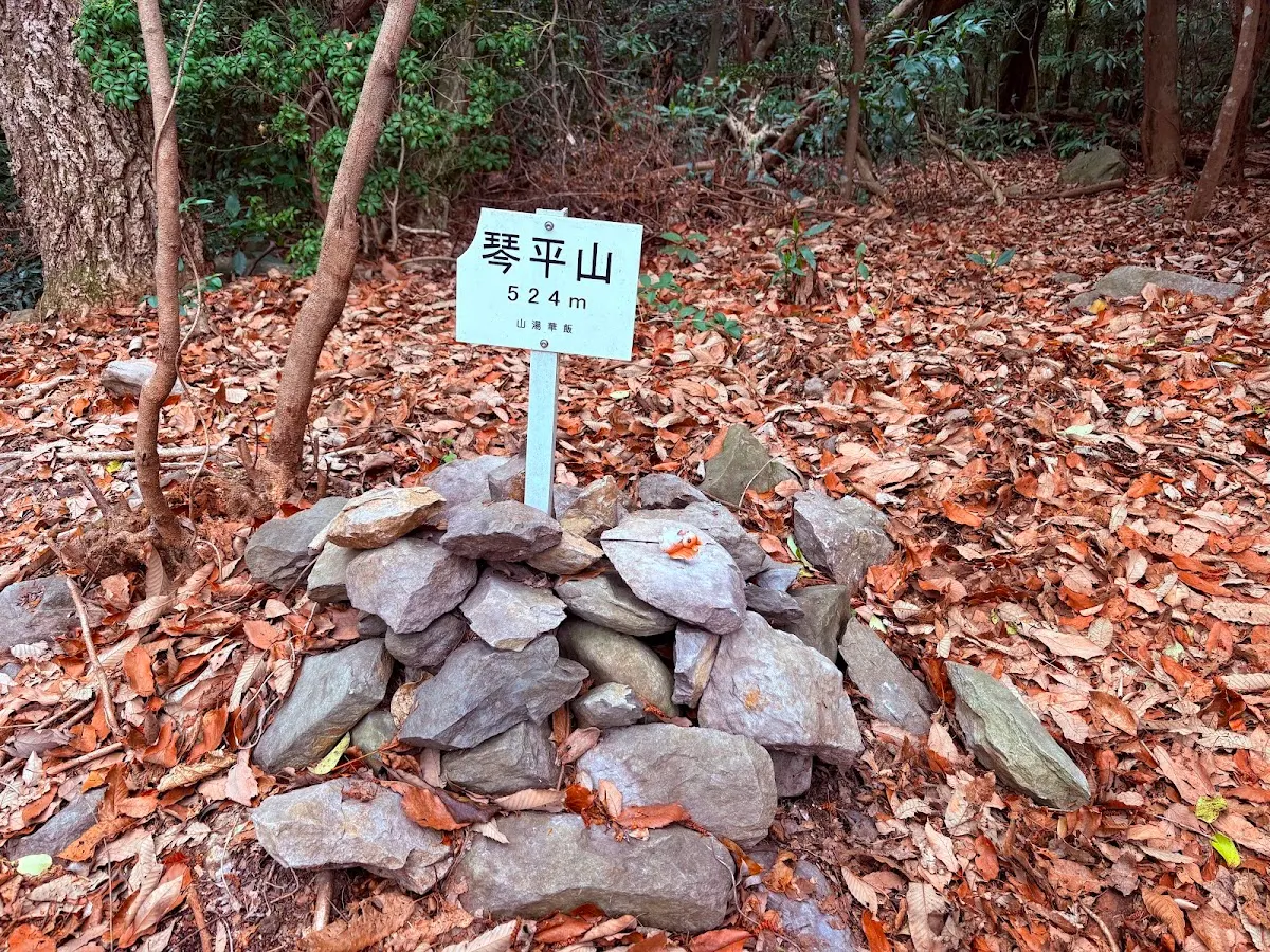 琴平山