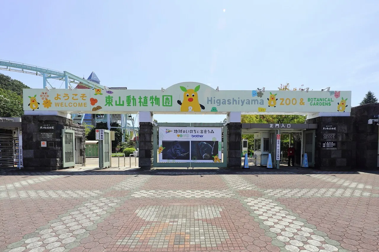 名古屋の絶景・自然を巡る2泊3日モデルコース