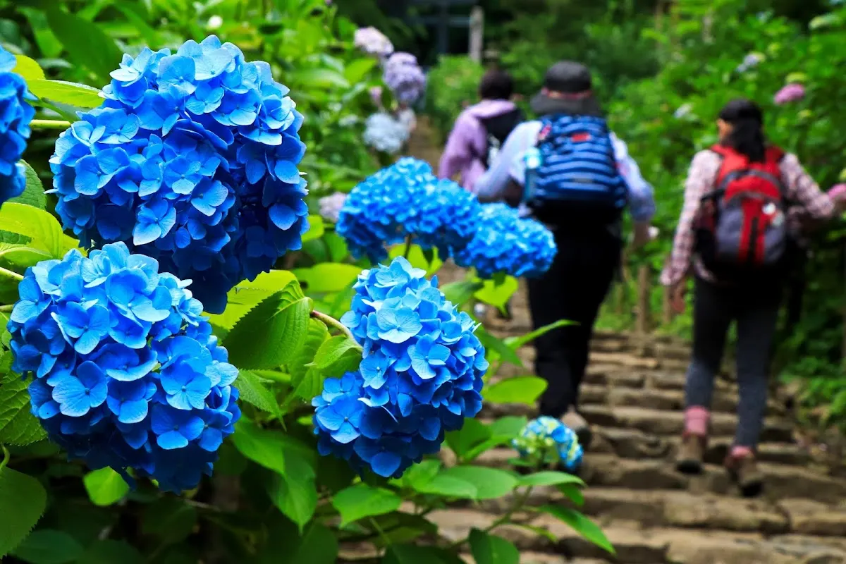 大平山