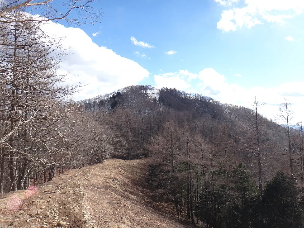 七ツ石山