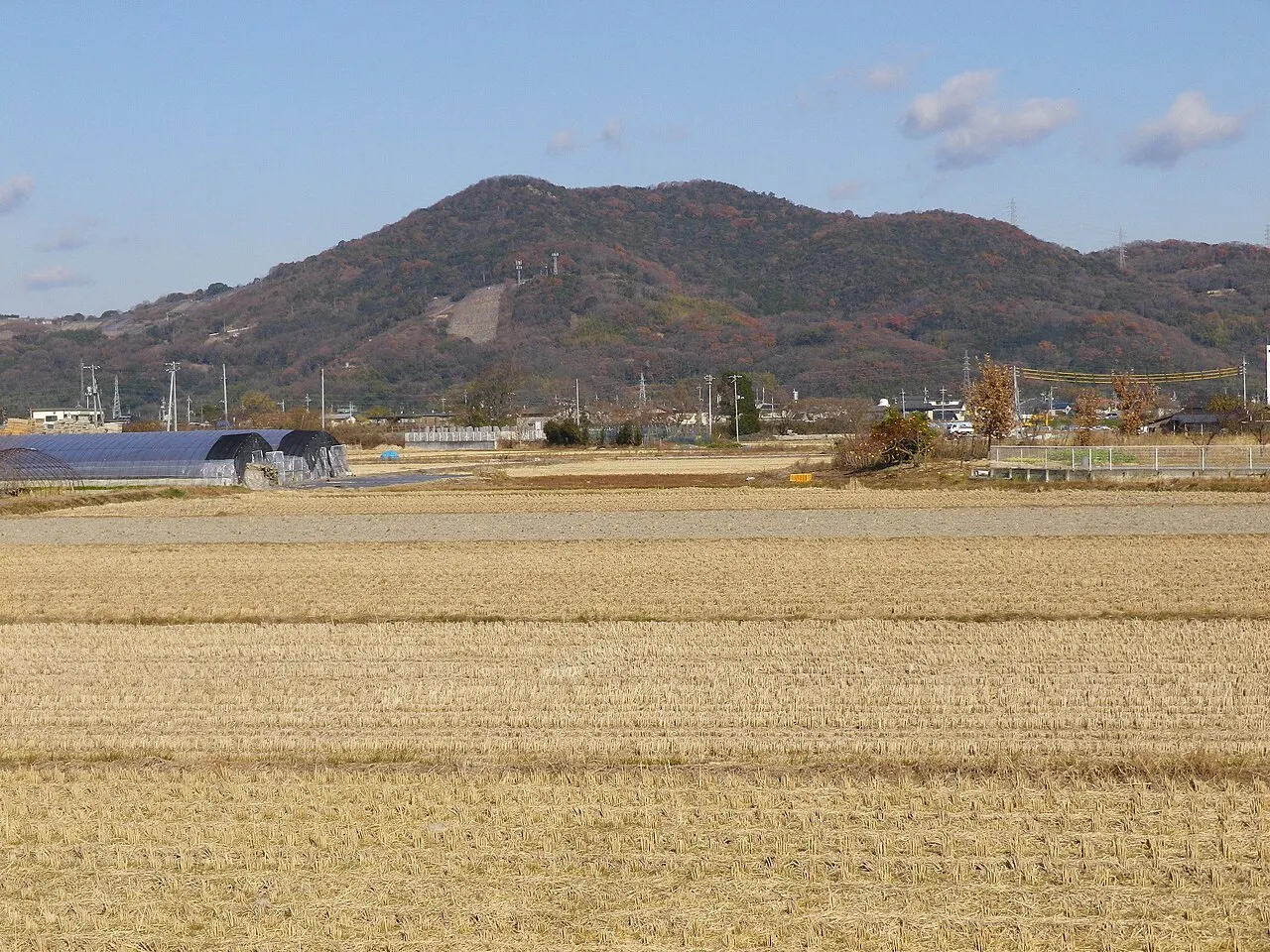 芥子山