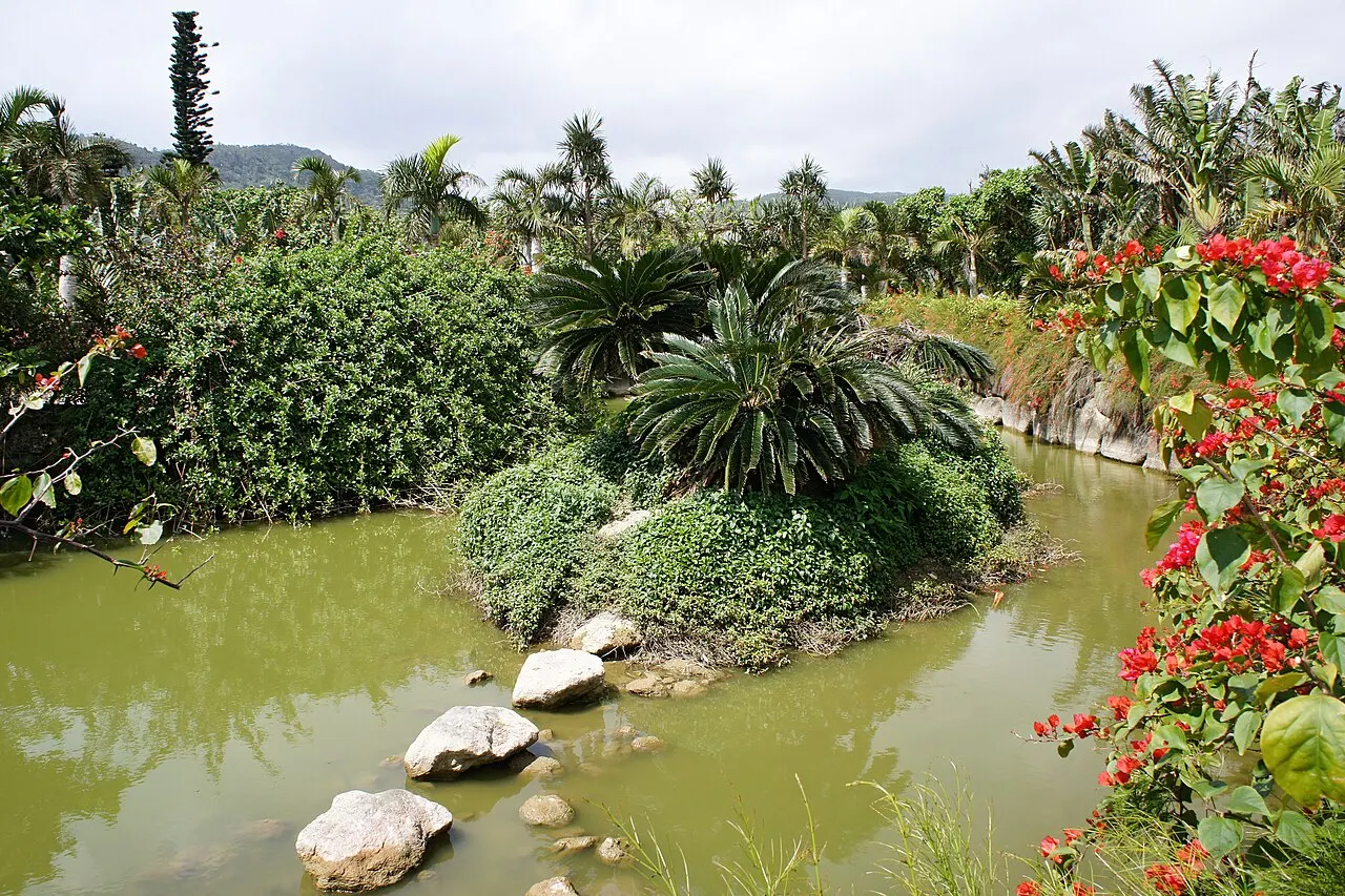 亜熱帯植物楽園