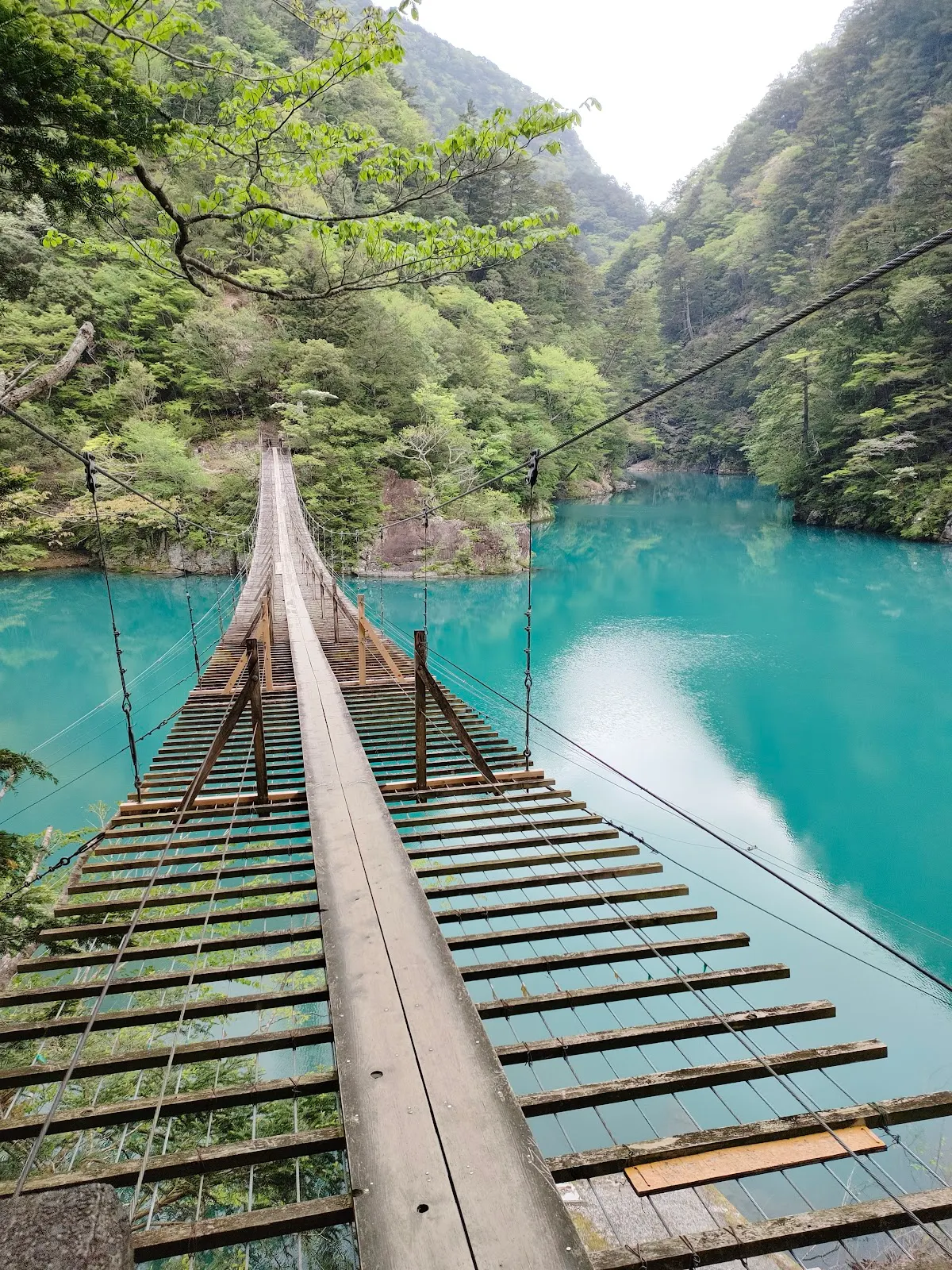 夢のつり橋