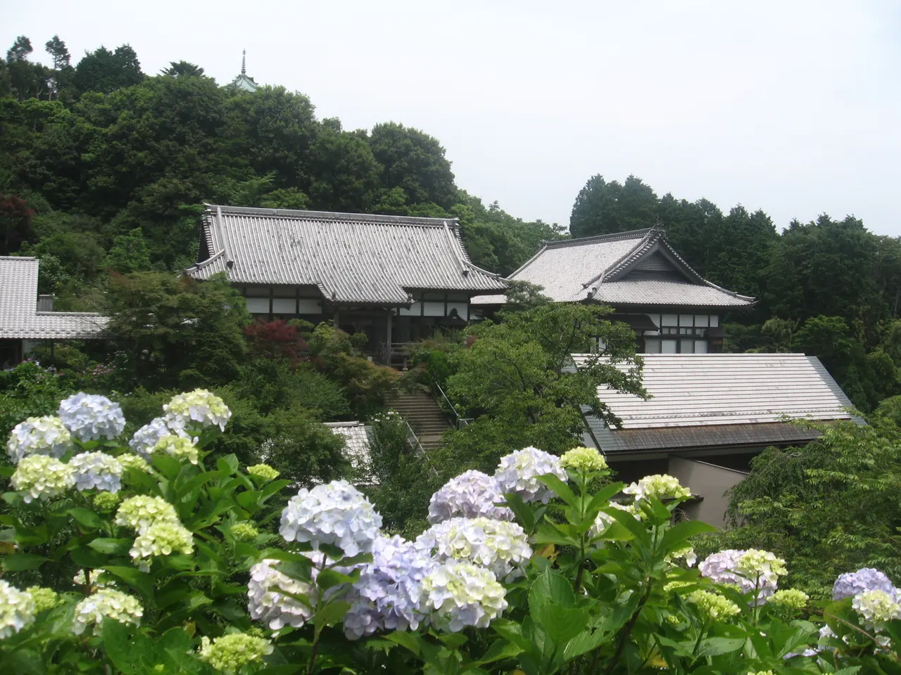 妙法生寺