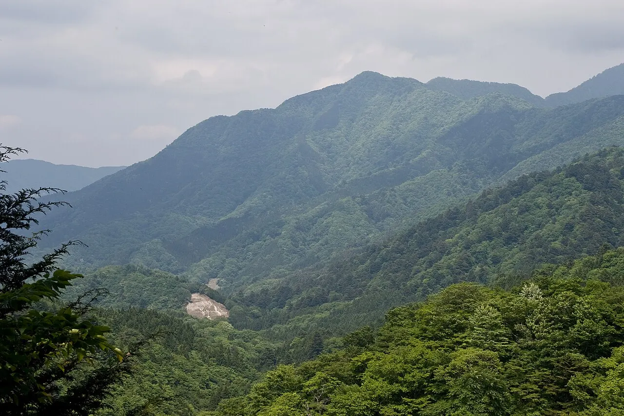 加入道山
