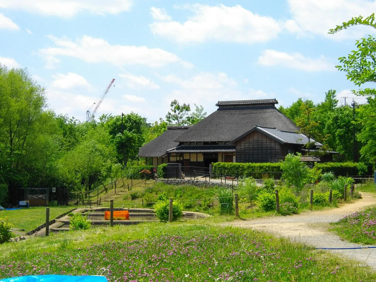 赤羽自然観察公園