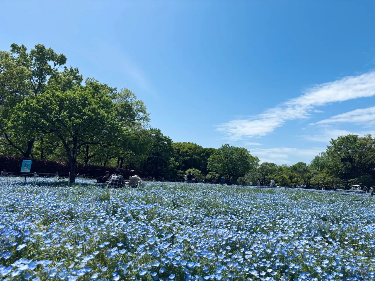長居公園