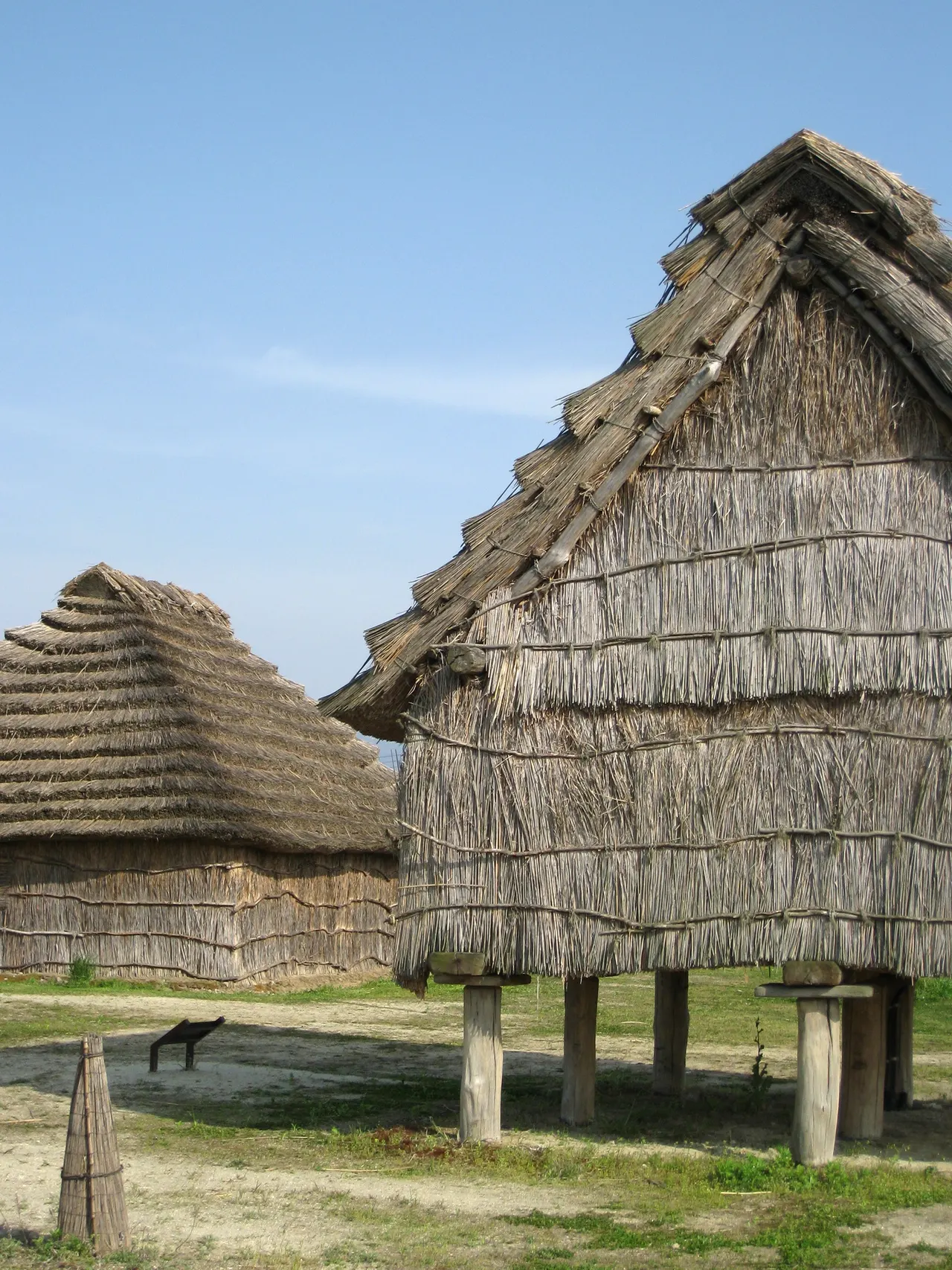 西沼田遺跡